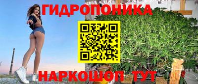 мдпв Берёзовский