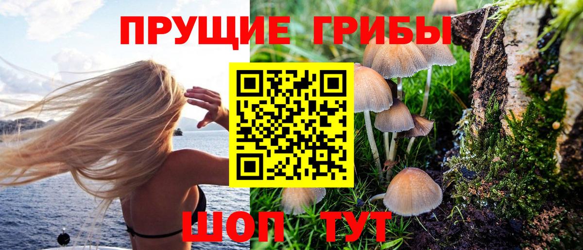 Галлюциногенные грибы Psilocybe  Галлюциногенные грибы MAGIC MUSHROOMS  Клин  Вход с VPN 