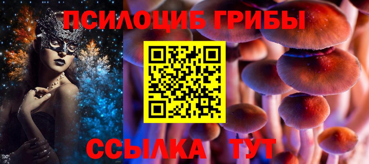 Псилоцибиновые грибы MAGIC MUSHROOMS Клин